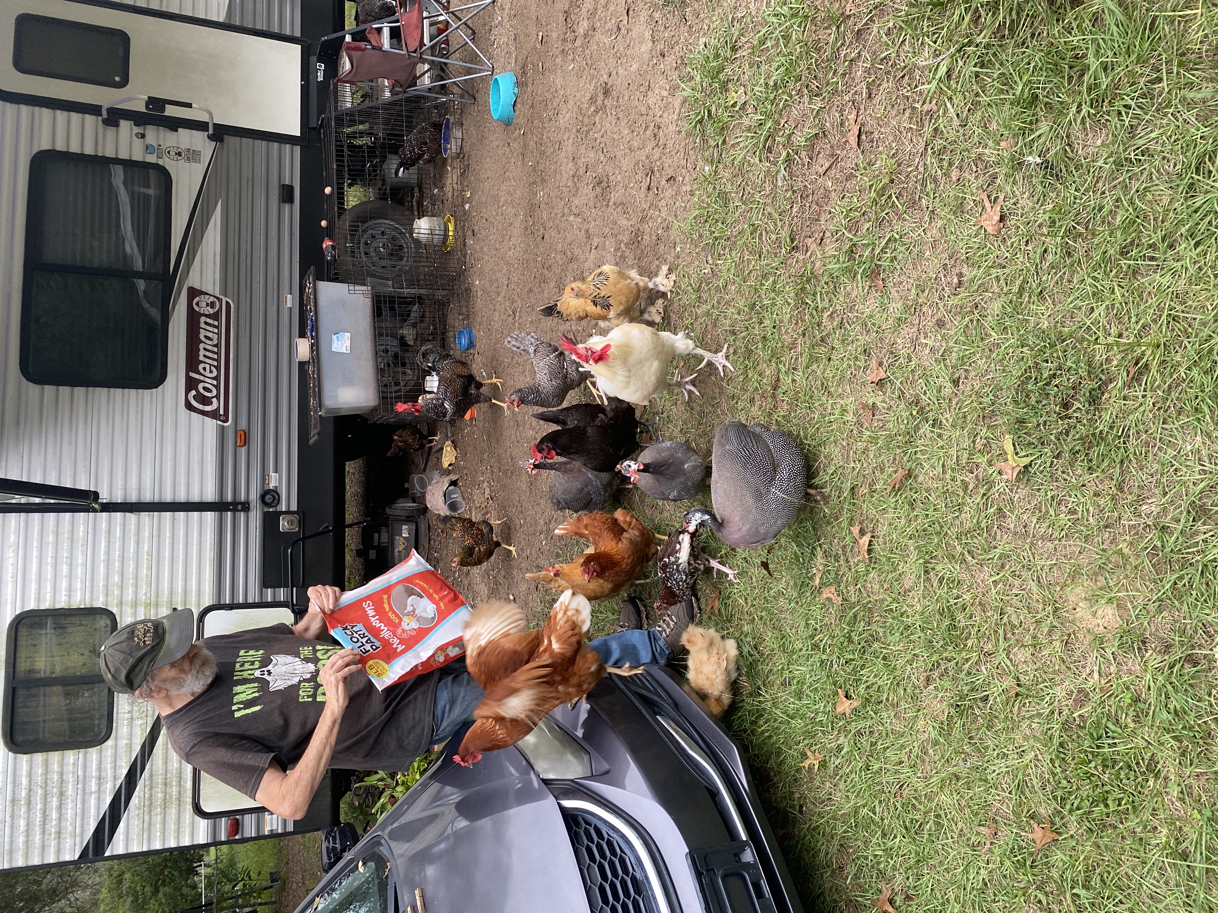 John's chickens