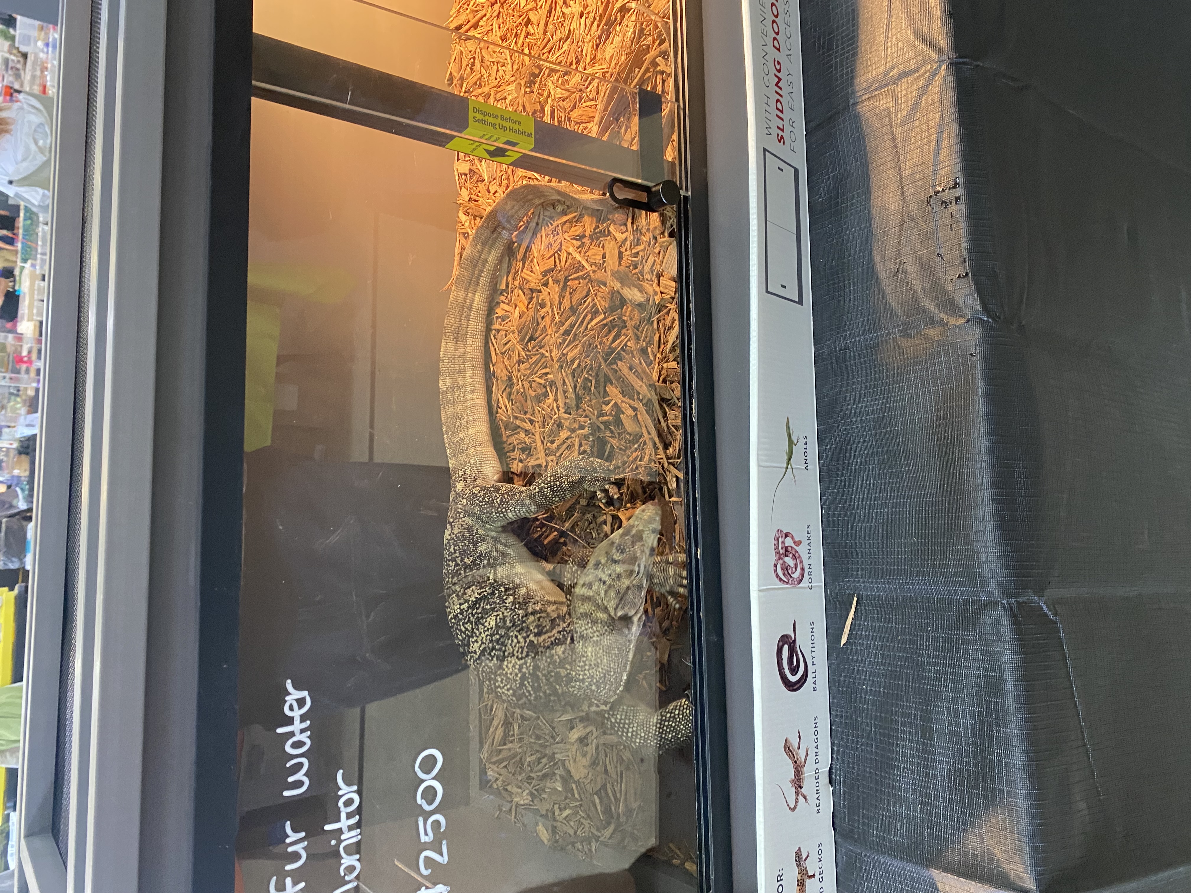 John & Phils Reptiles